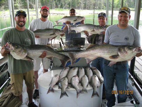 Nice Striped Bass